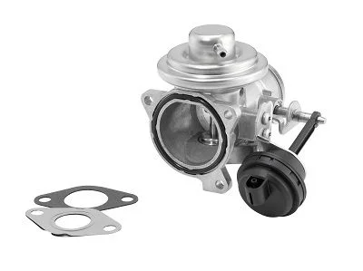 Ventil EGR BorgWarner (Wahler) 7283D/1