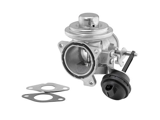 Ventil EGR BorgWarner (Wahler) 7293D