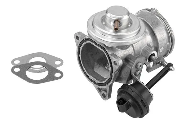 Ventil EGR BorgWarner (Wahler) 7327D