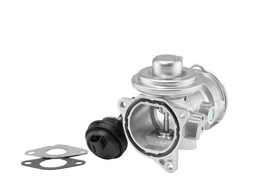 Ventil EGR BorgWarner (Wahler) 7372D/1