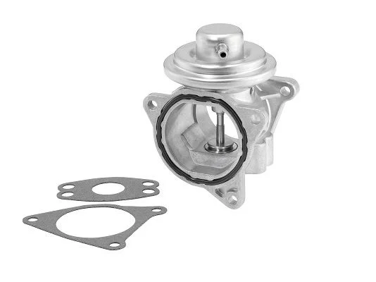 Ventil EGR BorgWarner (Wahler) 7496D
