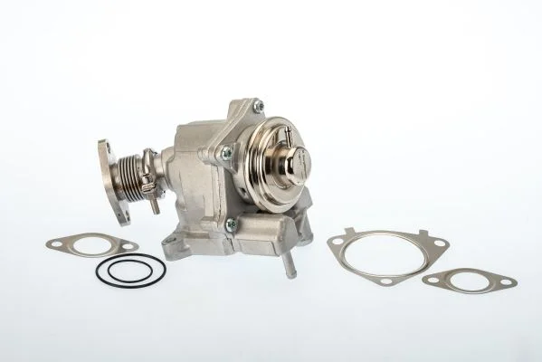 EGR Valve BorgWarner (Wahler) 7631D/1