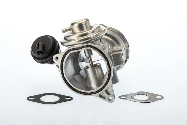 Ventil EGR BorgWarner (Wahler) 7649D