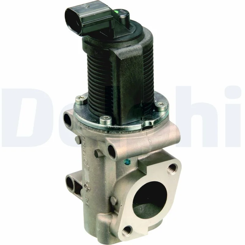 EGR Valve DELPHI EG10301-12B1