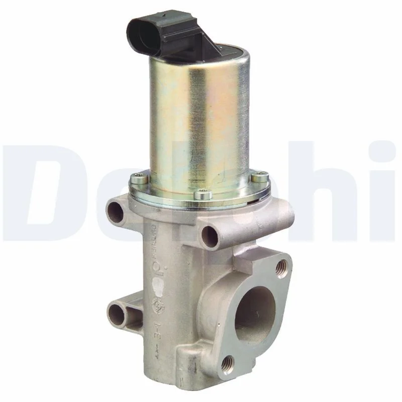 EGR Valve DELPHI EG10302-12B1