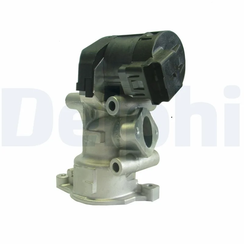 Ventil EGR DELPHI EG10396-12B1