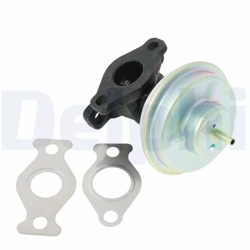 EGR Valve DELPHI EG10517-12B1