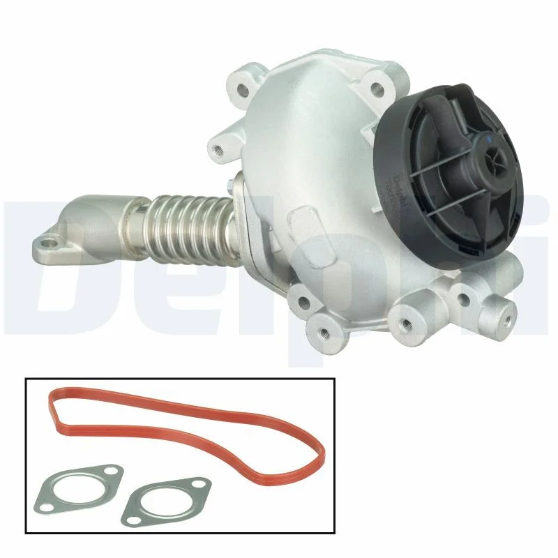EGR Valve DELPHI EG10554-12B1