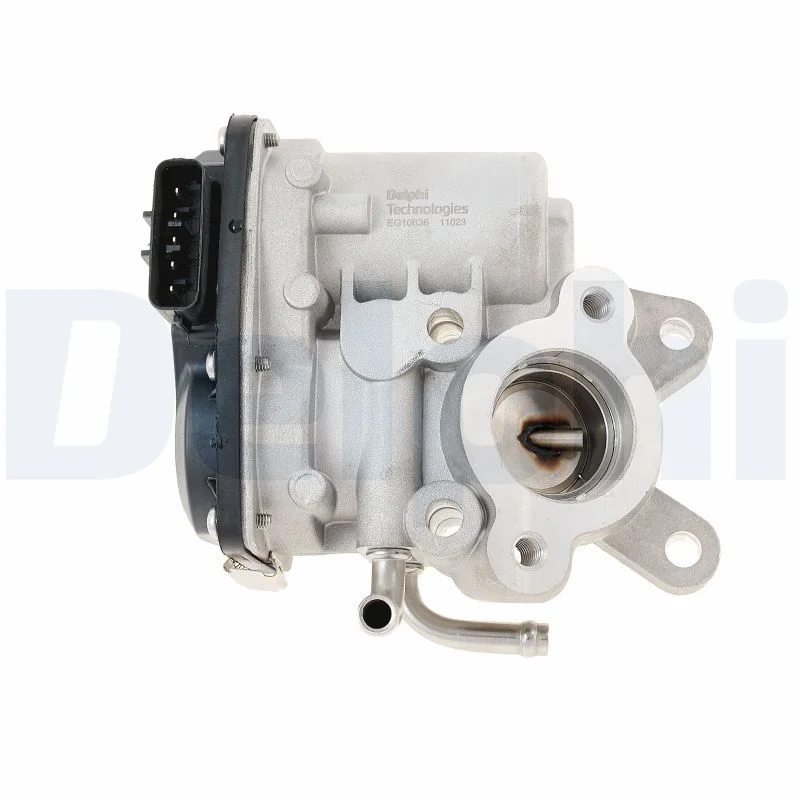 Ventil EGR DELPHI EG10636-12B1