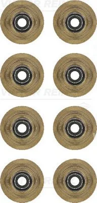 Komplet tesnil, steblo ventila VICTOR REINZ 12-31056-01