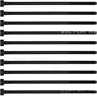 Komplet vijakov za glavo cilindra VICTOR REINZ 14-32220-01
