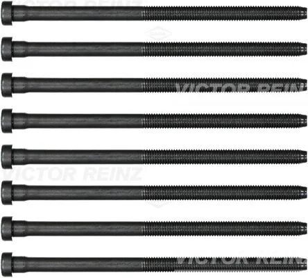 Komplet vijakov za glavo cilindra VICTOR REINZ 14-32384-02