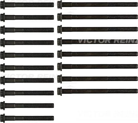 Komplet vijakov za glavo cilindra VICTOR REINZ 14-55034-01