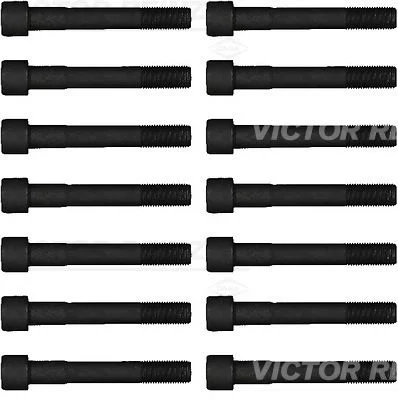 Komplet vijakov za glavo cilindra VICTOR REINZ 14-55065-01