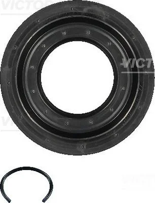 Shaft Seal, differential VICTOR REINZ 15-31193-01