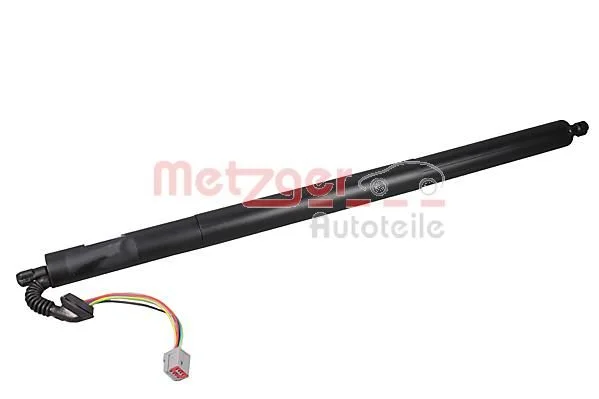 Električni motor, zadnja vrata METZGER 2115001