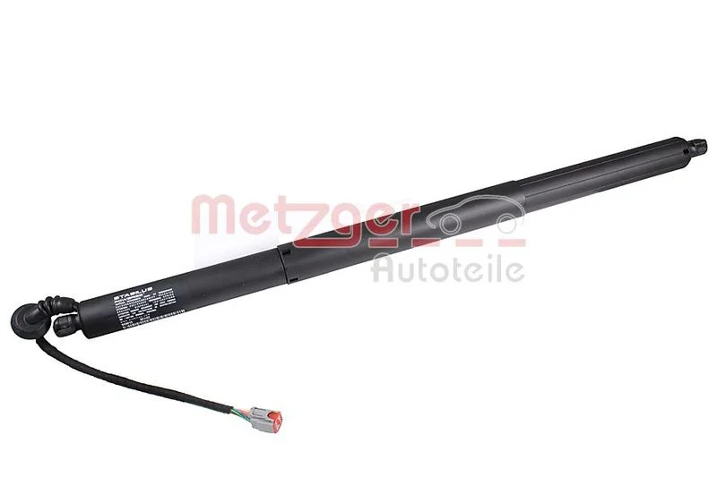 Električni motor, zadnja vrata METZGER 2115025