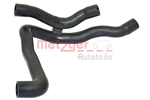 Radiator Hose METZGER 2420472