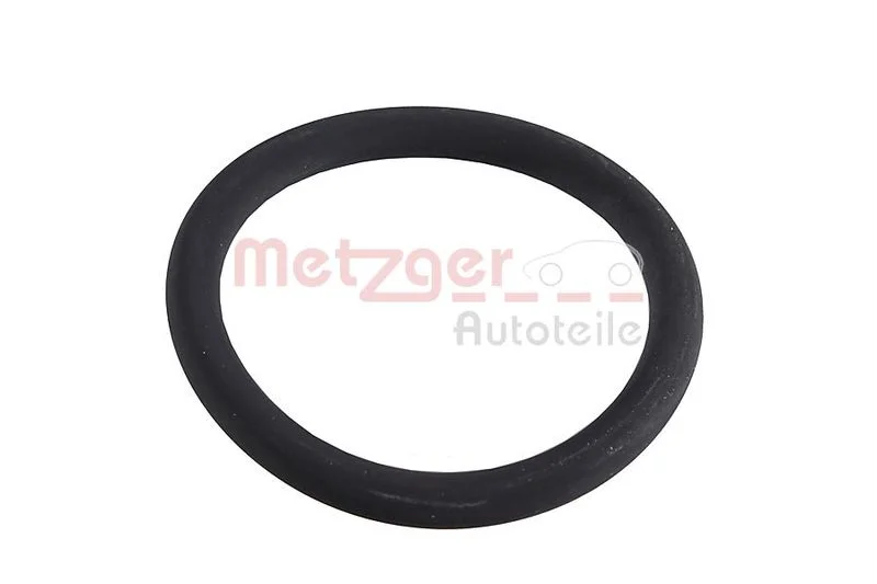 Seal Ring METZGER 2430127