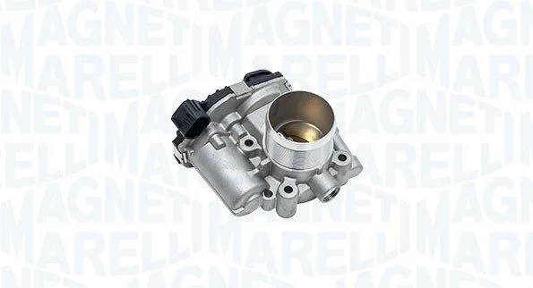 Throttle Body  802000000137