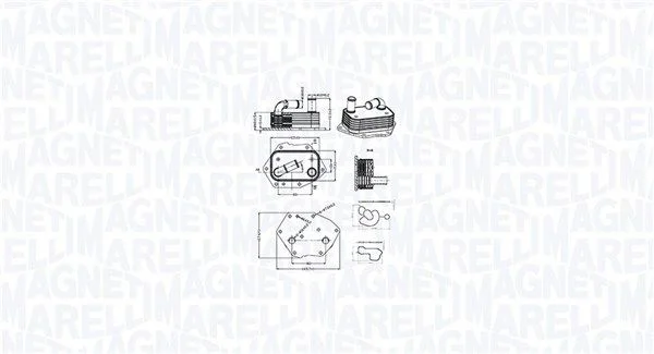 Hladilnik olja, motorno olje MAGNETI MARELLI 350300002600
