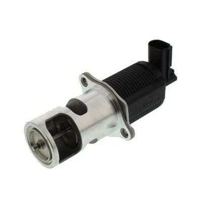 Ventil EGR MAGNETI MARELLI 571822112008