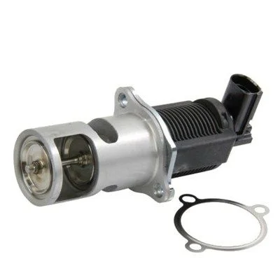 EGR Valve MAGNETI MARELLI 571822112009