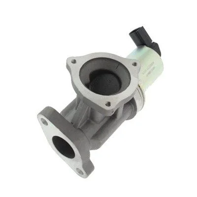 EGR Valve MAGNETI MARELLI 571822112012