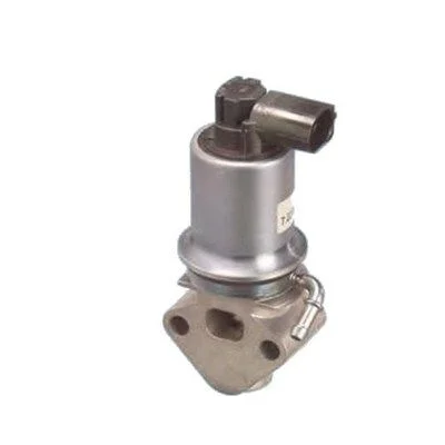 EGR Valve MAGNETI MARELLI 571822112013