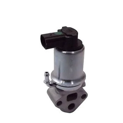 Ventil EGR MAGNETI MARELLI 571822112014
