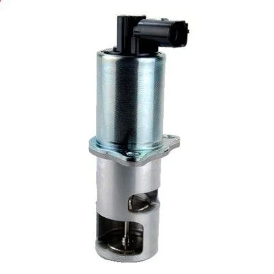 EGR Valve MAGNETI MARELLI 571822112016