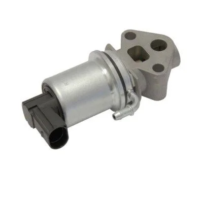 Ventil EGR MAGNETI MARELLI 571822112020