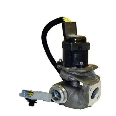 Ventil EGR MAGNETI MARELLI 571822112030