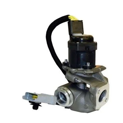 Ventil EGR MAGNETI MARELLI 571822112031