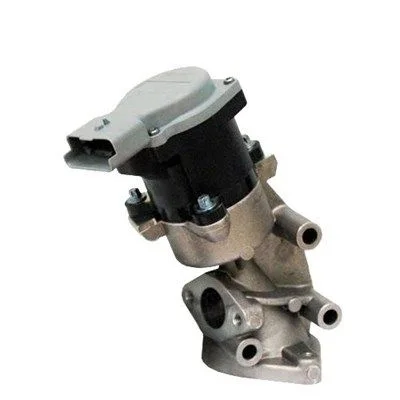 Ventil EGR MAGNETI MARELLI 571822112032
