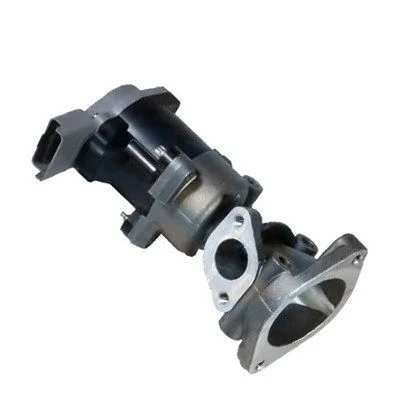 Ventil EGR MAGNETI MARELLI 571822112034
