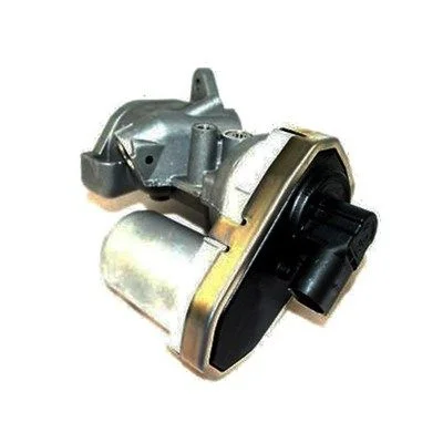 Ventil EGR MAGNETI MARELLI 571822112038