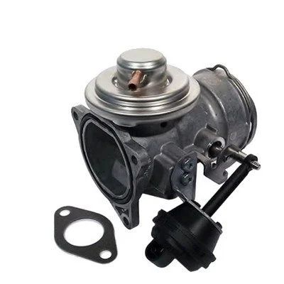 EGR Valve MAGNETI MARELLI 571822112051
