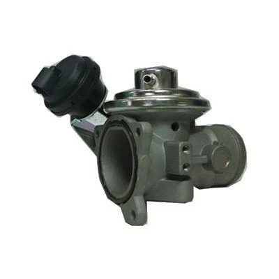 EGR Valve MAGNETI MARELLI 571822112061