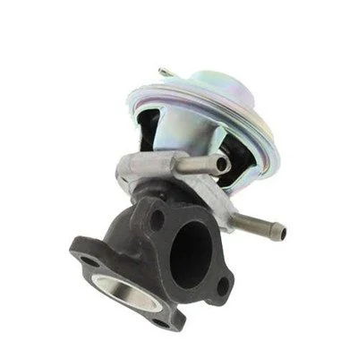 EGR Valve MAGNETI MARELLI 571822112064