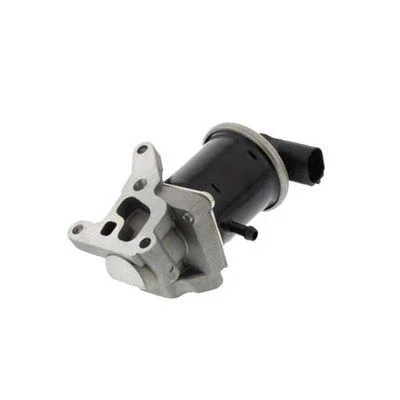 Ventil EGR MAGNETI MARELLI 571822112068