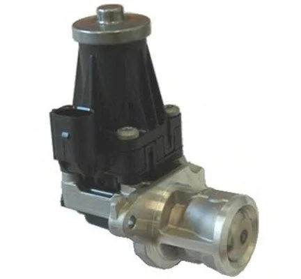 EGR Valve MAGNETI MARELLI 571822112072